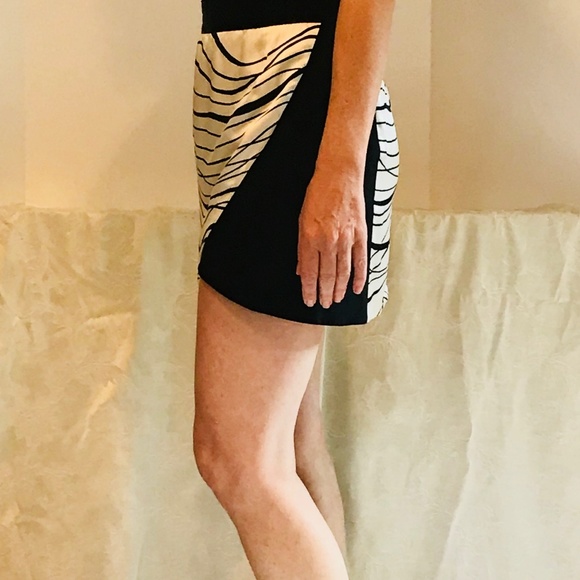 Silk Mini Skirt - Picture 3 of 5